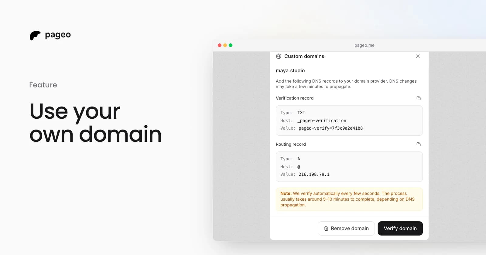 The pageo custom domains dialog with the DNS records to add